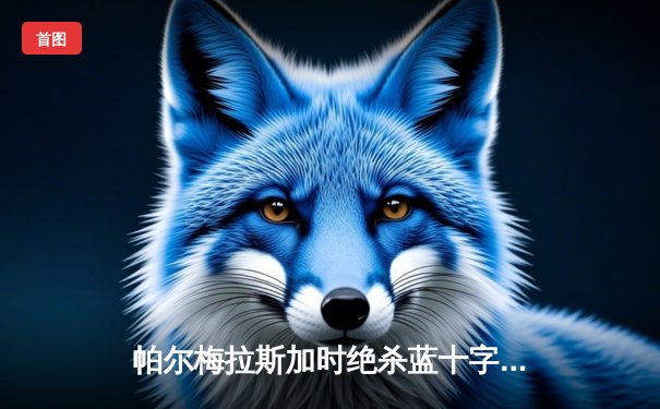 帕尔梅拉斯加时绝杀蓝十字，南美王者三度加冕世俱杯季军